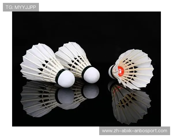 羽毛球熏球器用途